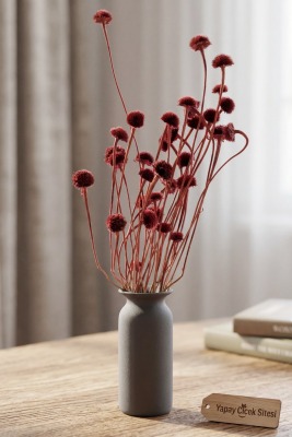 Kuru Çiçek Doğal Papatya Otu 48cm Bordo - Yapay Çiçek Sitesi
