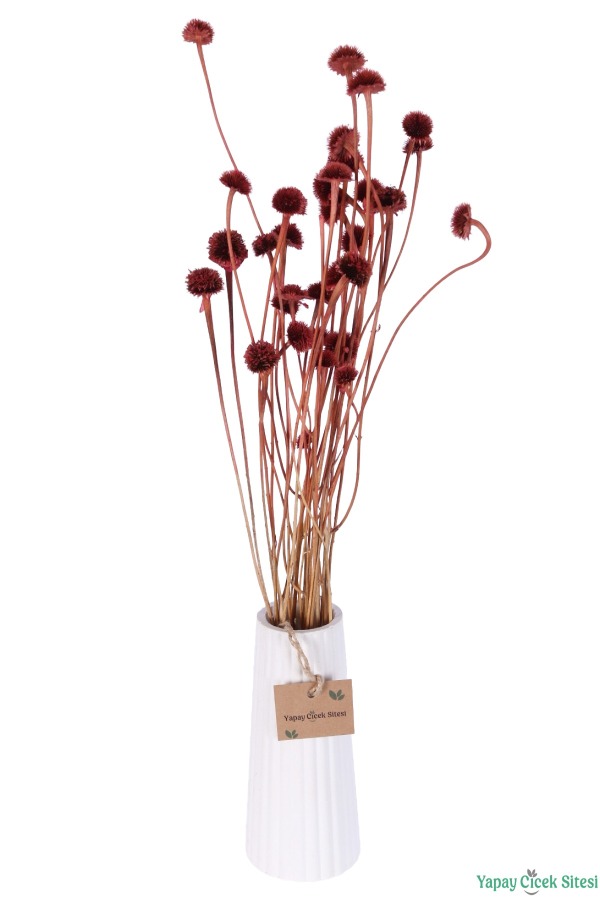 Kuru Çiçek Doğal Papatya Otu 48cm Bordo - 2