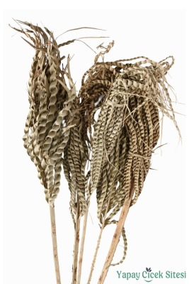 Kuru Çiçek Doğal Yılan Örgü Palm Snake Stems 75 Cm 5li - Yapay Çiçek Sitesi