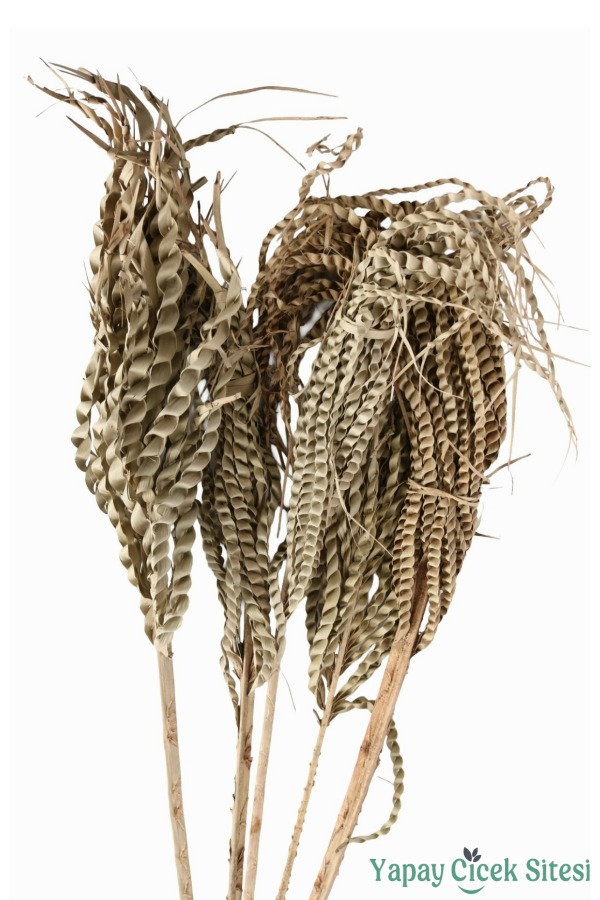 Kuru Çiçek Doğal Yılan Örgü Palm Snake Stems 75 Cm 5li - 1