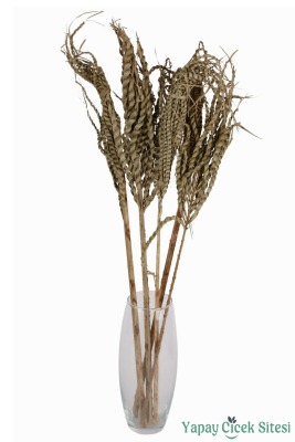 Kuru Çiçek Doğal Yılan Örgü Palm Snake Stems 75 Cm 5li - 2
