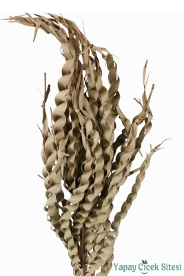 Kuru Çiçek Doğal Yılan Örgü Palm Snake Stems 75 Cm 5li - 3