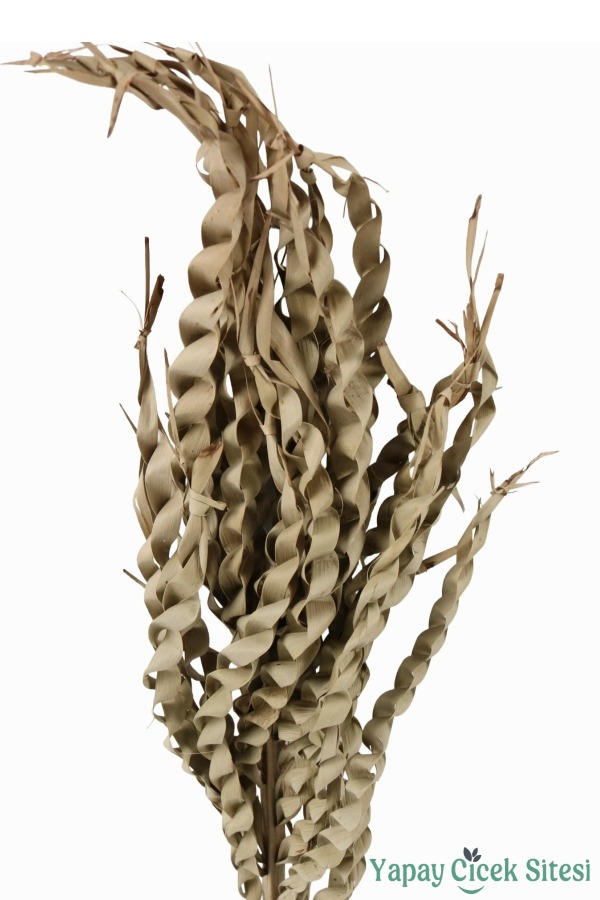 Kuru Çiçek Doğal Yılan Örgü Palm Snake Stems 75 Cm 5li - 3