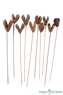 Kuru Çiçek Bell Cup Meyve 30 Cm 10lu - Yapay Çiçek Sitesi