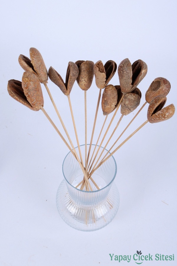 Kuru Çiçek Bell Cup Meyve 30 Cm 10lu - 3