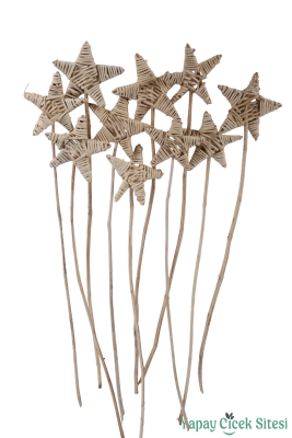 Rattan Lata Yıldızı 55 Cm 10lu - Yapay Çiçek Sitesi