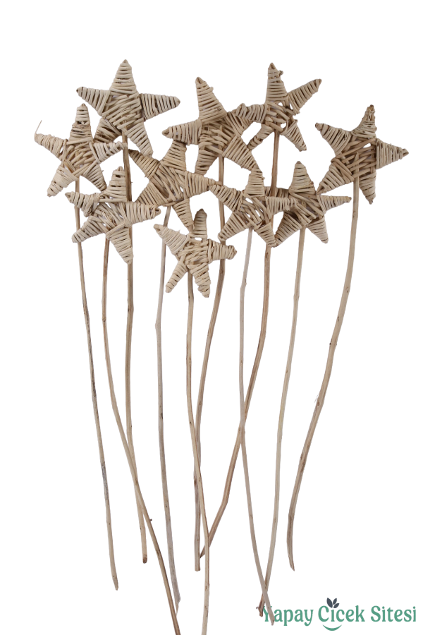 Rattan Lata Yıldızı 55 Cm 10lu - 1