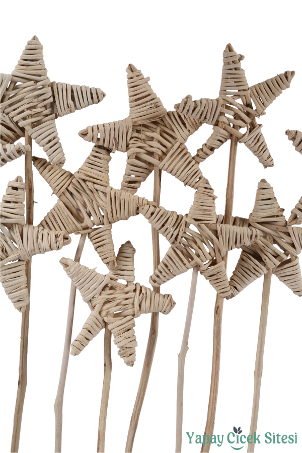 Rattan Lata Yıldızı 55 Cm 10lu - 2