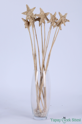 Rattan Lata Yıldızı 55 Cm 10lu - 3