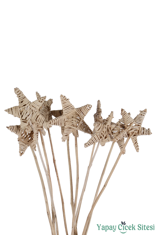 Rattan Lata Yıldızı 55 Cm 10lu - 4