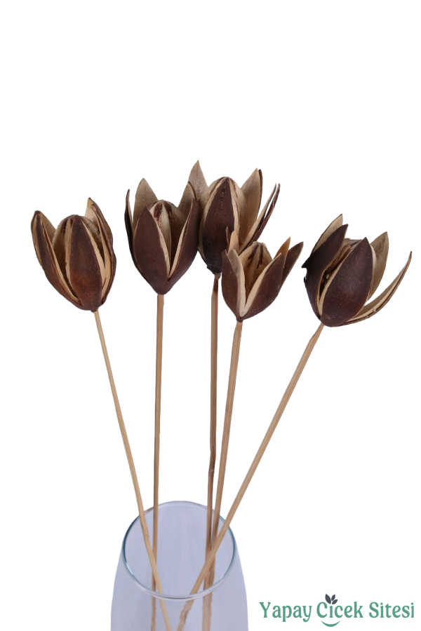Kuru Çiçek Doğal Lily 50 Cm 5li - 1
