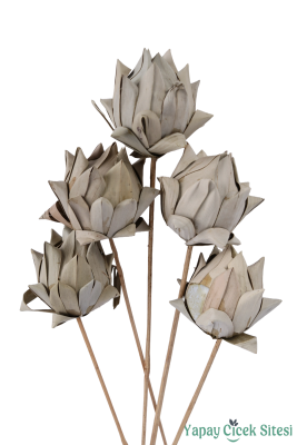 Kuru Çiçek Yapraklı Enginar (Artichoke) 45 Cm 5li - 2