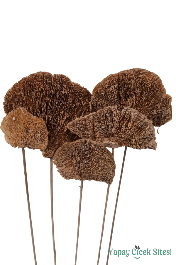 Kuru Çiçek Doğal Mushroom Mantar 50 Cm 5li - 1
