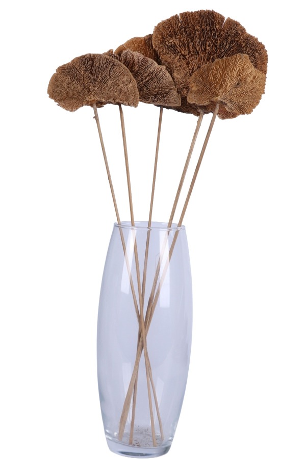 Kuru Çiçek Doğal Mushroom Mantar 50 Cm 5li - 2