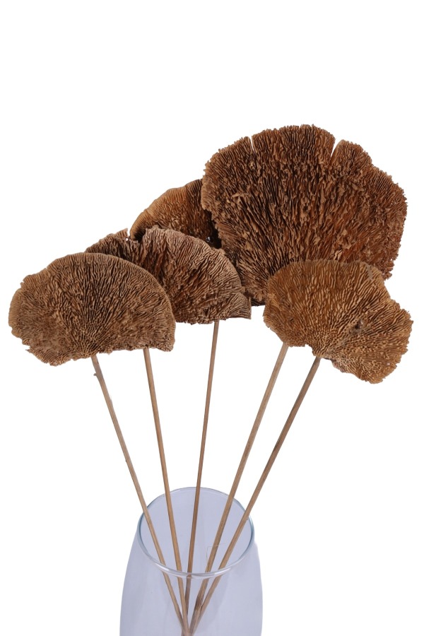 Kuru Çiçek Doğal Mushroom Mantar 50 Cm 5li - 3