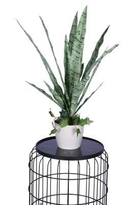 Lüks Yapay Kılıç Bitkisi Yeşil 70 cm - 2