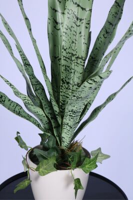 Lüks Yapay Kılıç Bitkisi Yeşil 70 cm - 3