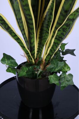 Lüks Yapay Kılıç Bitkisi Yeşil-Sarı 70 cm - 3