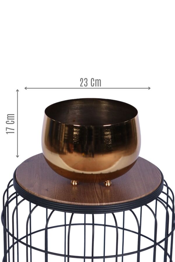 Metal Dekoratif Saksı 17 Cm Altın - 1