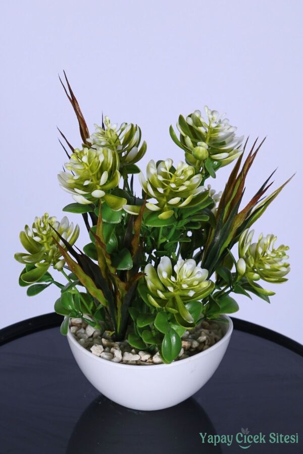 Mini Saksıda Yapay Sukulent Bahçesi 26 cm - 2