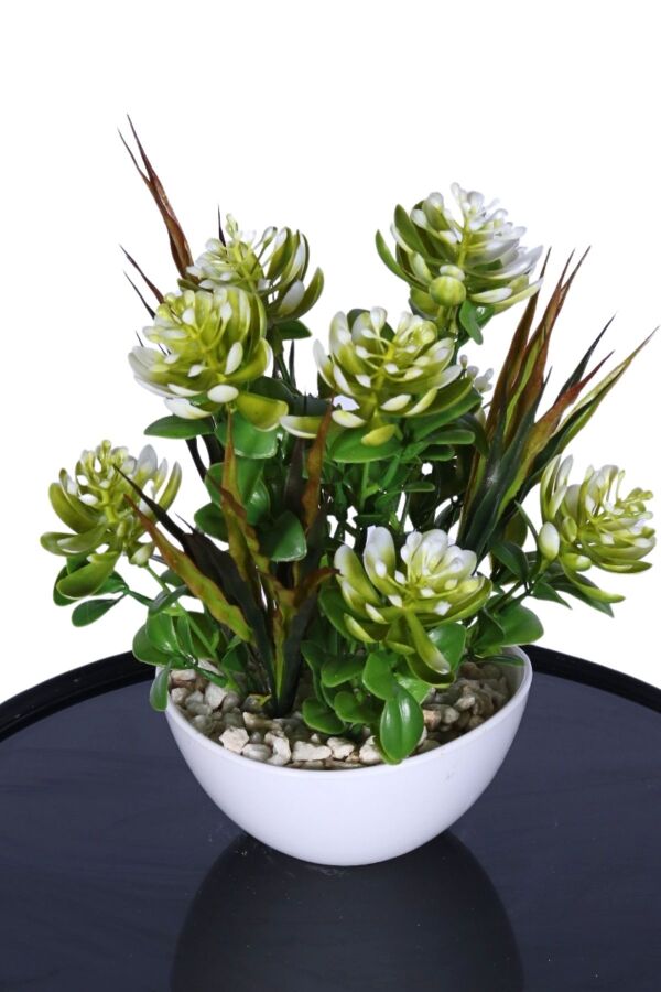 Mini Saksıda Yapay Sukulent Bahçesi 26 cm - 3