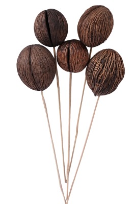 Kuru Çiçek Doğal Mintola Ball 45 Cm 5 Adet - 2
