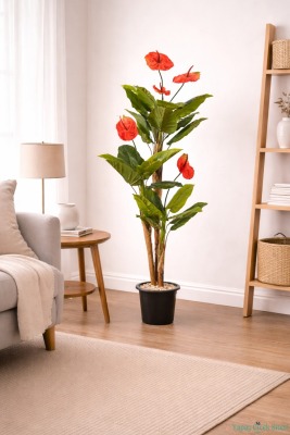 Plastik Saksıda Antoryum Ağacı 160 cm (Anthurium) - 4