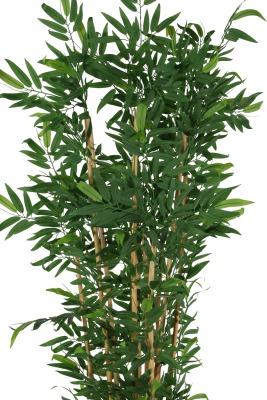 Plastik Saksıda 10 Dallı Yapay Bambu Ağacı 230 cm - 2