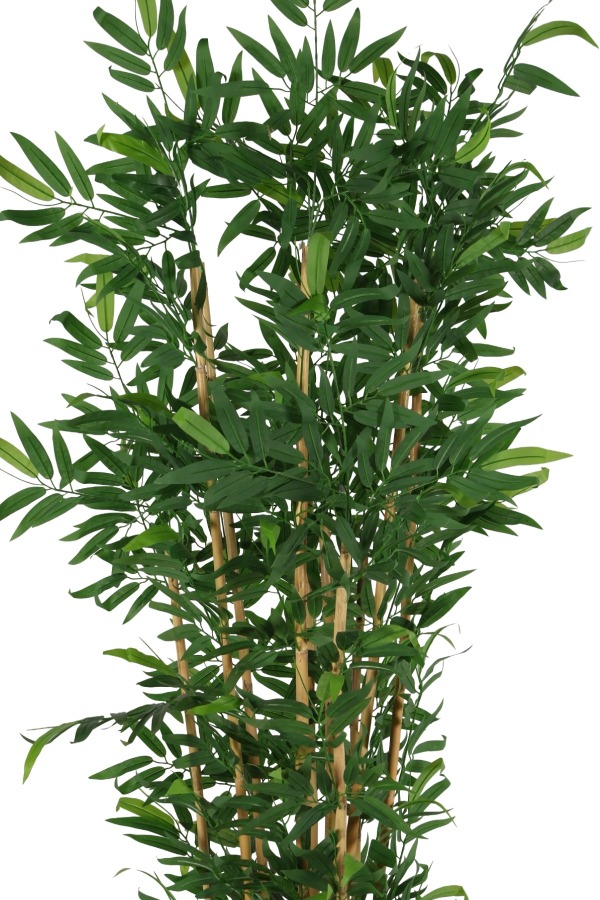 Plastik Saksıda 10 Dallı Yapay Bambu Ağacı 230 cm - 2
