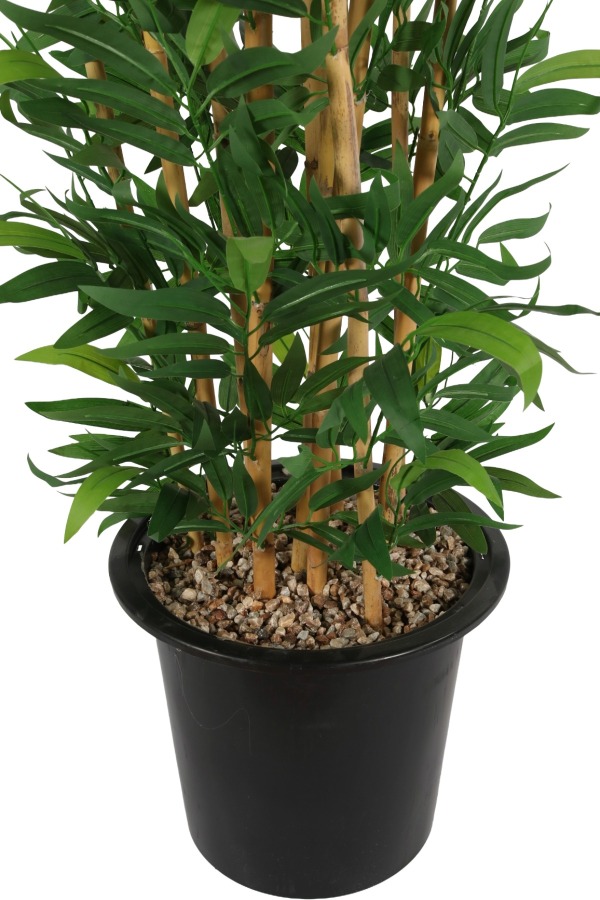 Plastik Saksıda 10 Dallı Yapay Bambu Ağacı 230 cm - 3