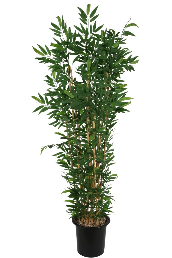 Plastik Saksıda 10 Dallı Yapay Bambu Ağacı 230 cm - 1