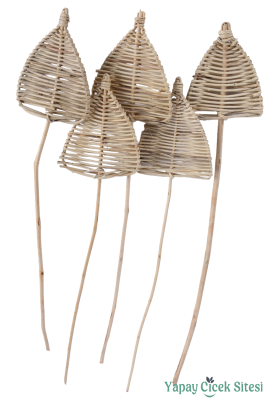 Rattan Spear Mızrak 60 Cm 5li - 1