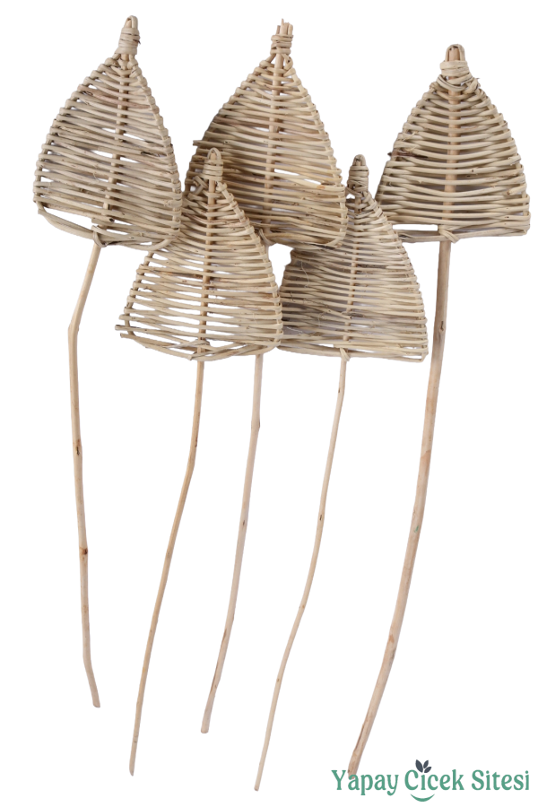 Rattan Spear Mızrak 60 Cm 5li - 1