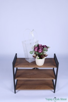 Saksılı Çiçek Aranjmanı (Şeffaf Çanta Hediyeli) Model 10 - 3