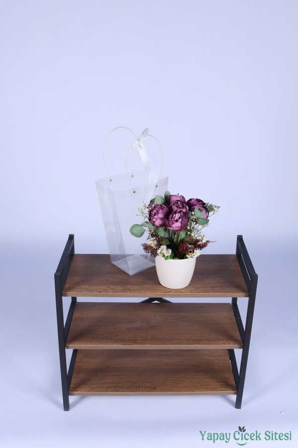 Saksılı Çiçek Aranjmanı (Şeffaf Çanta Hediyeli) Model 10 - 3