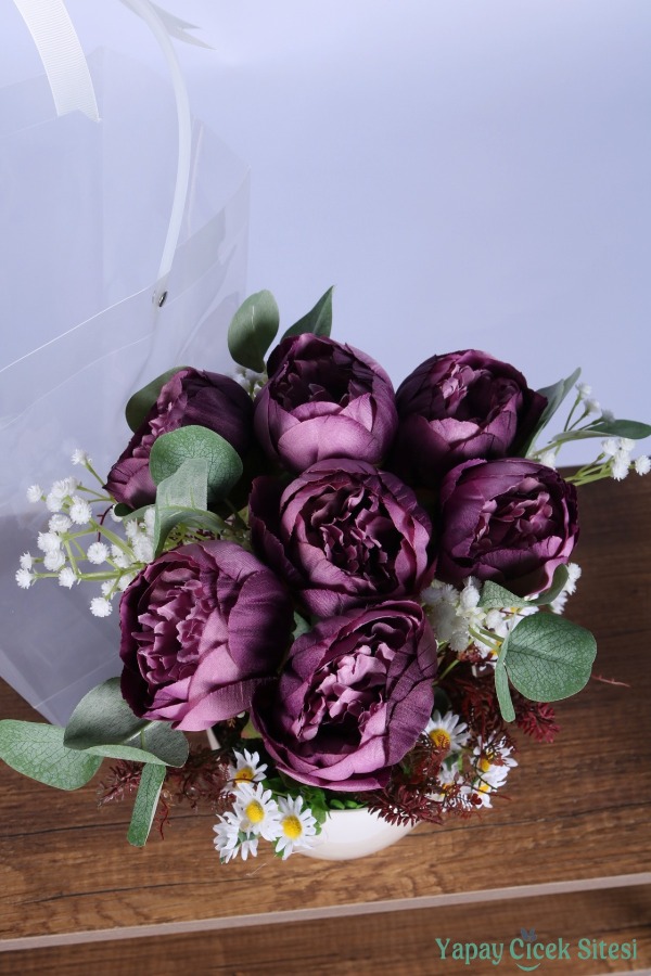 Saksılı Çiçek Aranjmanı (Şeffaf Çanta Hediyeli) Model 10 - 4