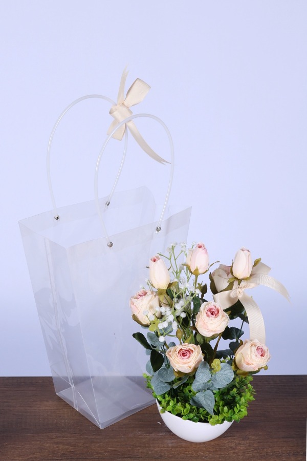 Saksılı Çiçek Aranjmanı (Şeffaf Çanta Hediyeli) Model 11 - 1