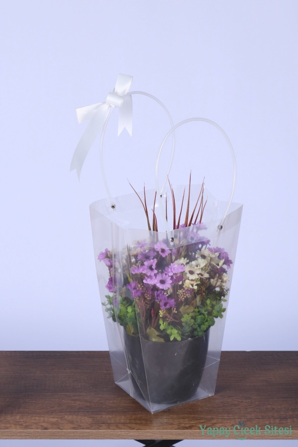 Saksılı Çiçek Aranjmanı (Şeffaf Çanta Hediyeli) Model 12 - 2