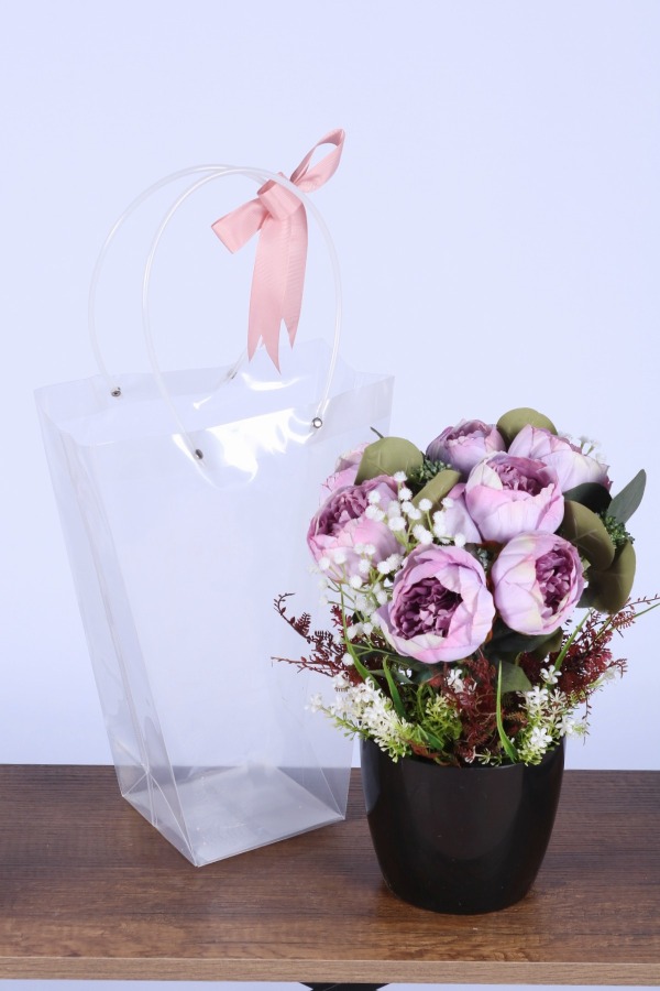 Saksılı Çiçek Aranjmanı (Şeffaf Çanta Hediyeli) Model 2 - 1