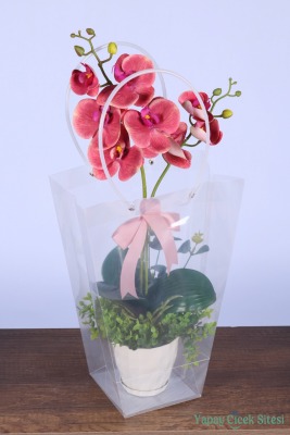 Saksılı Çiçek Aranjmanı (Şeffaf Çanta Hediyeli) Model 4 - 2