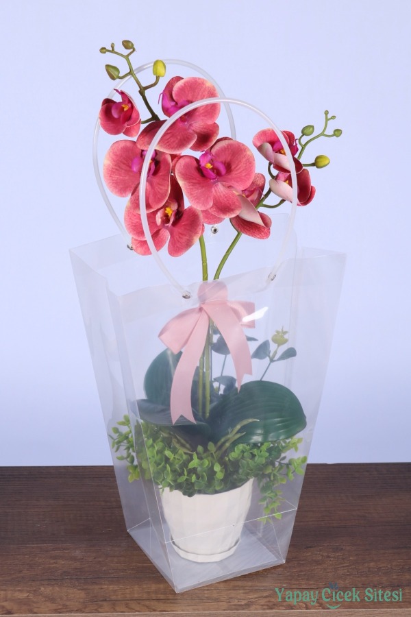 Saksılı Çiçek Aranjmanı (Şeffaf Çanta Hediyeli) Model 4 - 2