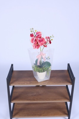 Saksılı Çiçek Aranjmanı (Şeffaf Çanta Hediyeli) Model 4 - 3