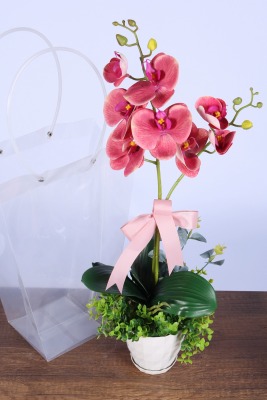 Saksılı Çiçek Aranjmanı (Şeffaf Çanta Hediyeli) Model 4 - 4