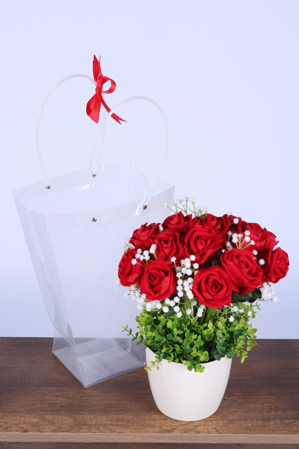 Saksılı Çiçek Aranjmanı (Şeffaf Çanta Hediyeli) Model 6 - 1