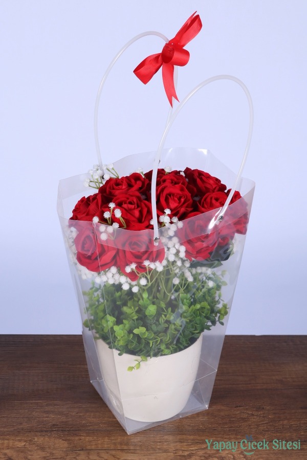 Saksılı Çiçek Aranjmanı (Şeffaf Çanta Hediyeli) Model 6 - 2