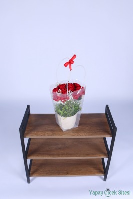 Saksılı Çiçek Aranjmanı (Şeffaf Çanta Hediyeli) Model 6 - 3