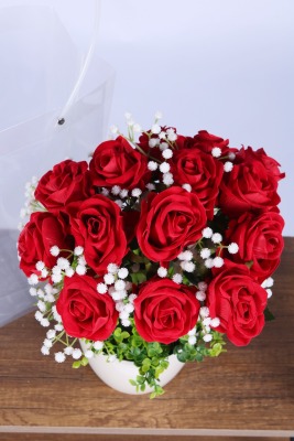 Saksılı Çiçek Aranjmanı (Şeffaf Çanta Hediyeli) Model 6 - 4