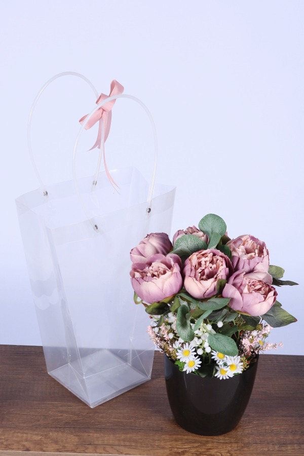 Saksılı Çiçek Aranjmanı (Şeffaf Çanta Hediyeli) Model 7 - 1