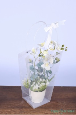 Saksılı Çiçek Aranjmanı (Şeffaf Çanta Hediyeli) Model 8 - 2