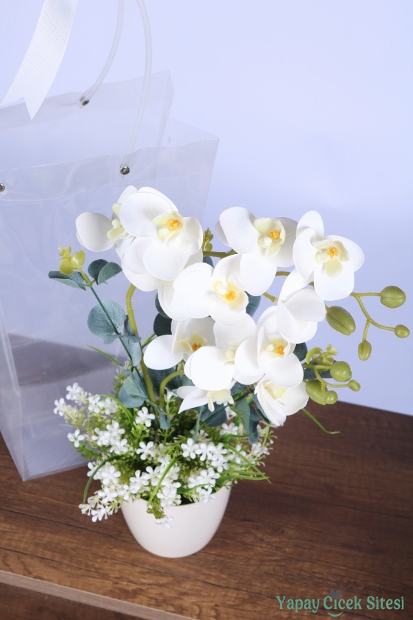 Saksılı Çiçek Aranjmanı (Şeffaf Çanta Hediyeli) Model 8 - 4